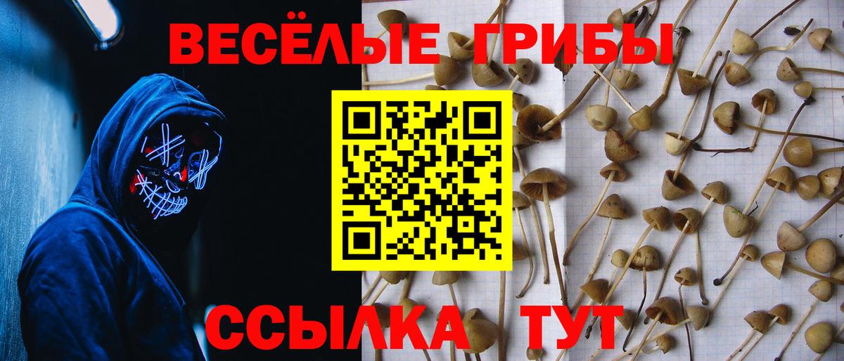 Галлюциногенные грибы мицелий  Вход с VPN  Черняховск  где продают наркотики  Галлюциногенные грибы прущие грибы 